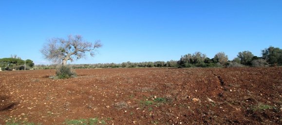 Casa de 4 divisões em Nardò, Italy N.º 118764 40