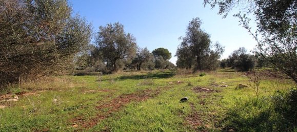 Casa de 4 divisões em Nardò, Italy N.º 118764 32