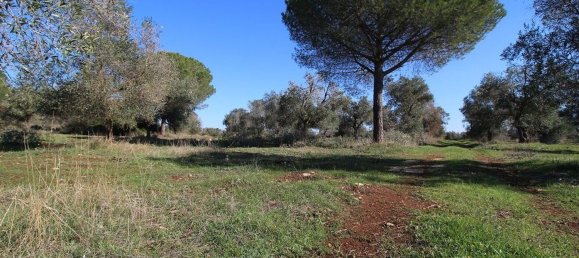 Casa de 4 divisões em Nardò, Italy N.º 118764 33