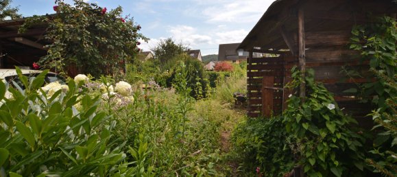 6 chambres Maison à Bernkastel-Wittlich, Germany No. 149078 37