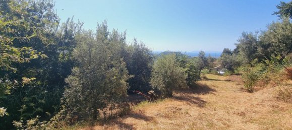 Studio in Santa Lucia del Mela, Italy, Nr. 122903 3