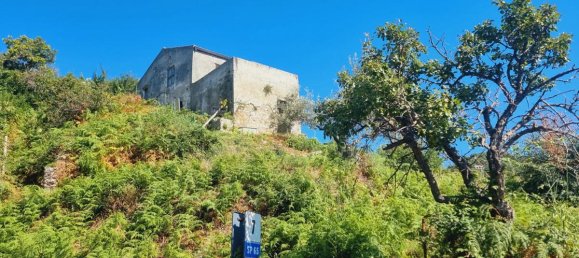 Studio in Santa Lucia del Mela, Italy, Nr. 122903 12