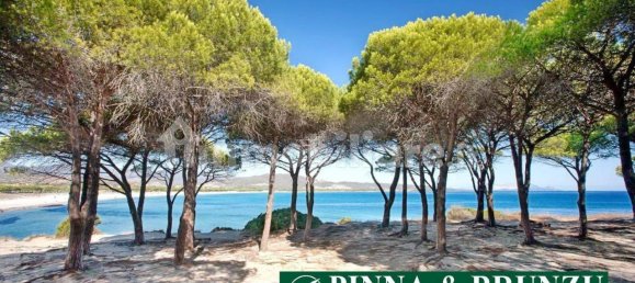 3-Zimmer Villa in Budoni, Italy, Nr. 24050 4