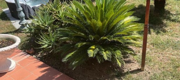 Casa de 8 habitaciónes en Carrara, Italy No. 48117 7