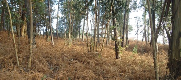 744m² Land in Barcelos, Portugal No. 33586 14