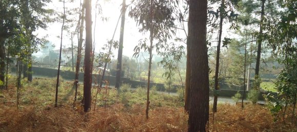 744m² Land in Barcelos, Portugal No. 33586 17