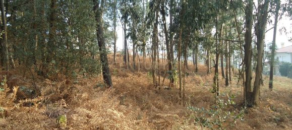 744m² Land in Barcelos, Portugal No. 33586 13