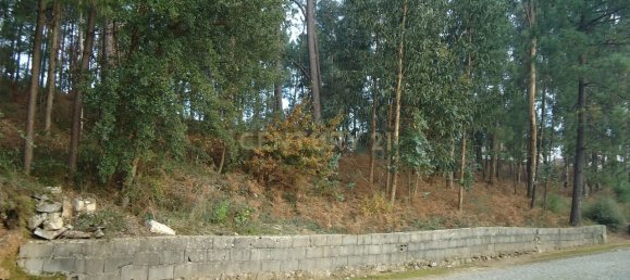 744m² Land in Barcelos, Portugal No. 33586 8