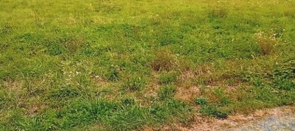  Land in Lot, France No. 316127 2