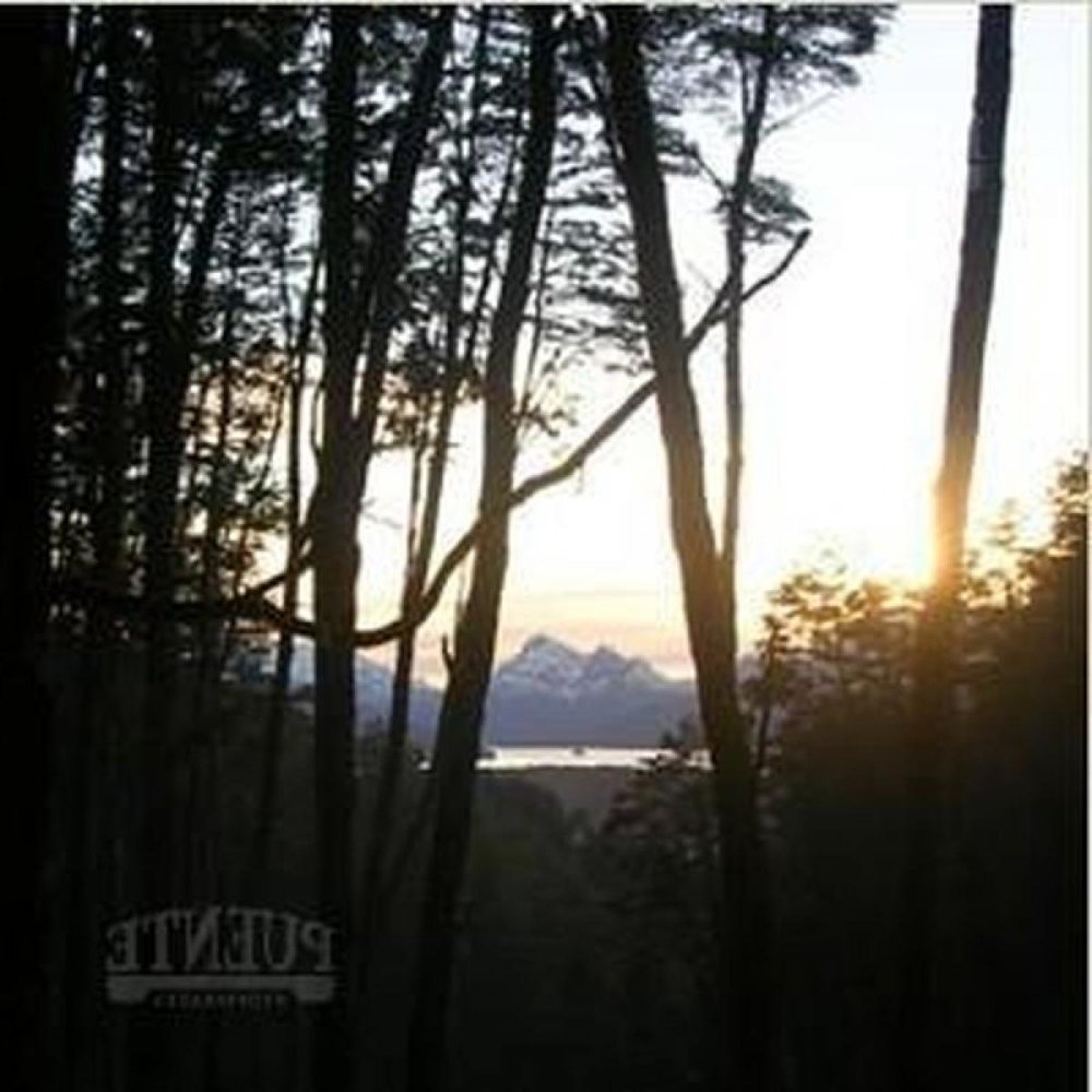 Земельный участок в Неукен, Аргентина № 32954