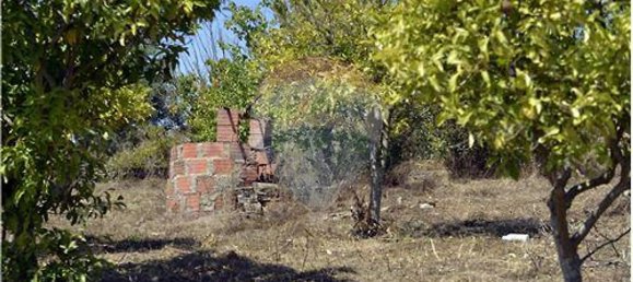 2 chambres Maison à Arruda dos Vinhos, Portugal No. 46280 7