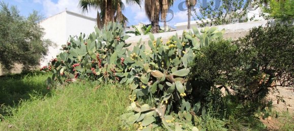 10غرفة فيلا في Copertino, Italy رقم 7941 35