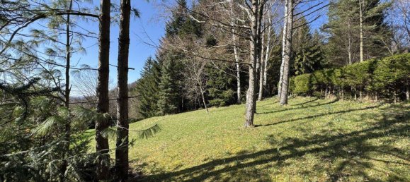 3غرفة منزل في Hainfeld, Austria رقم 138612 18