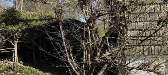 3غرفة منزل في Hainfeld, Austria رقم 138612 4