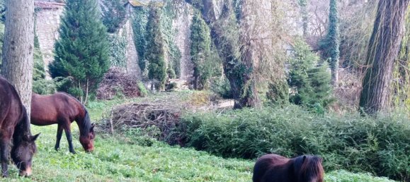 Вилла с 12 комнатами в Бавария, Германия № 212883 25