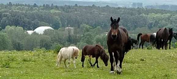 Вилла с 12 комнатами в Бавария, Германия № 212883 23