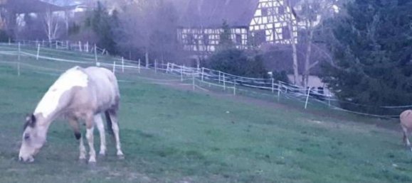 Вилла с 12 комнатами в Бавария, Германия № 212883 24