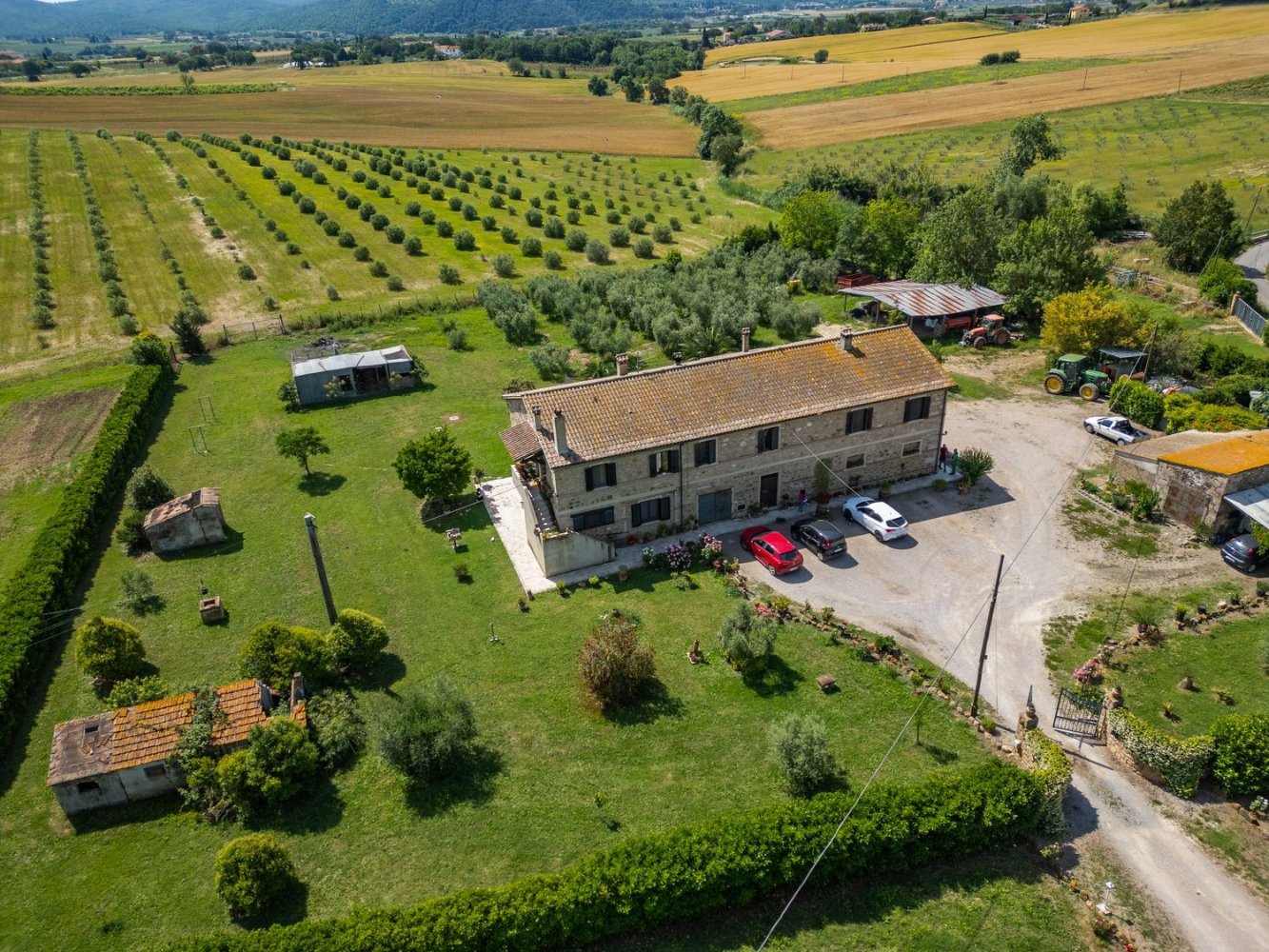 11500m² Land in Magliano in Toscana, Italy No. 150319