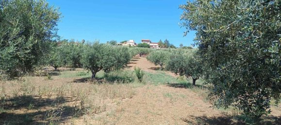 5120m² Land in Balestrate, Italy No. 275529 10