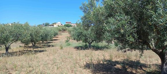 5120m² Land in Balestrate, Italy No. 275529 4