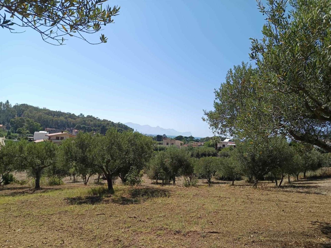 5120m² Land in Balestrate, Italy No. 275529
