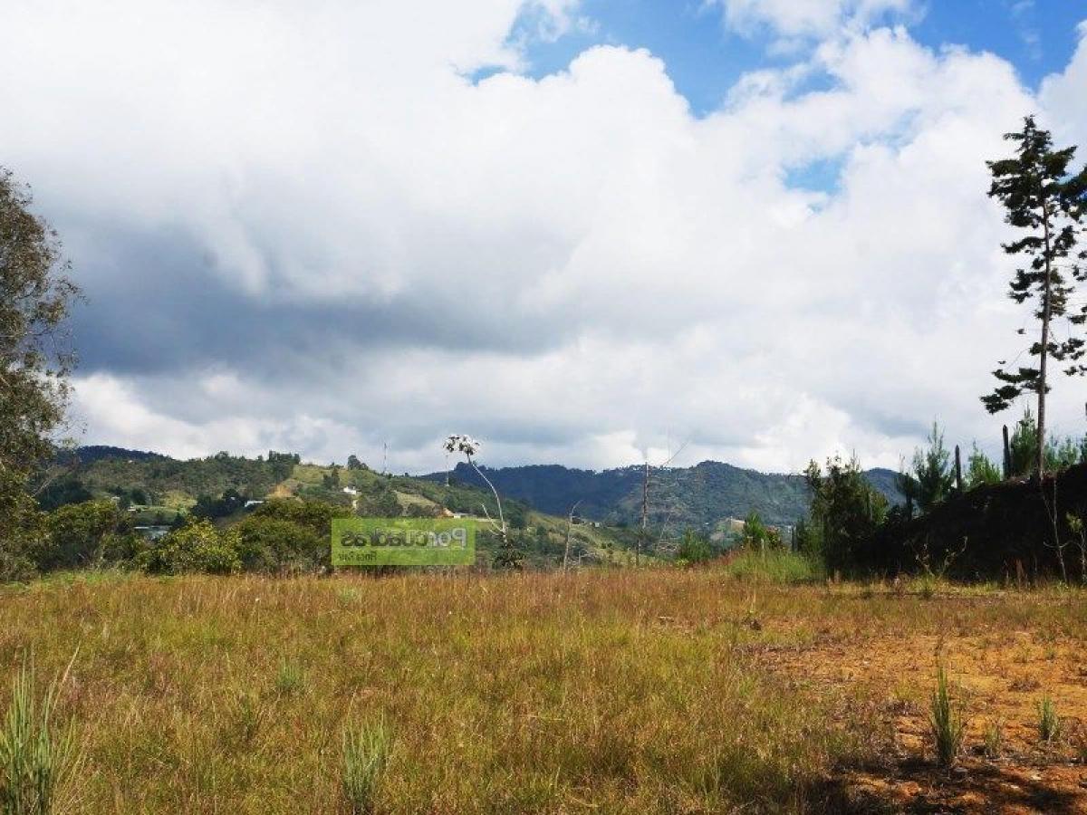 Terrain à Antioquia, Colombia No. 437
