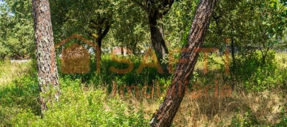 Grundstück in Aljubarrota, Portugal 3240m², Nr. 336626 7