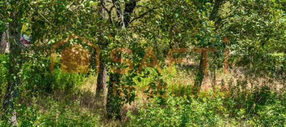 Grundstück in Aljubarrota, Portugal 3240m², Nr. 336626 9