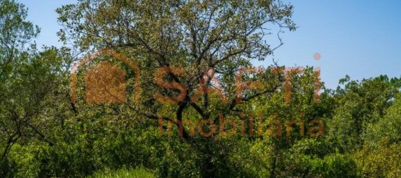 Grundstück in Aljubarrota, Portugal 3240m², Nr. 336626 12