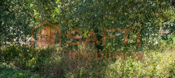 Grundstück in Aljubarrota, Portugal 3240m², Nr. 336626 6