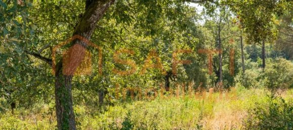 Grundstück in Aljubarrota, Portugal 3240m², Nr. 336626 4