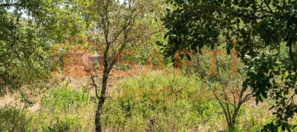 Grundstück in Aljubarrota, Portugal 3240m², Nr. 336626 14