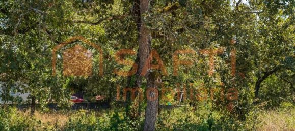 Grundstück in Aljubarrota, Portugal 3240m², Nr. 336626 5