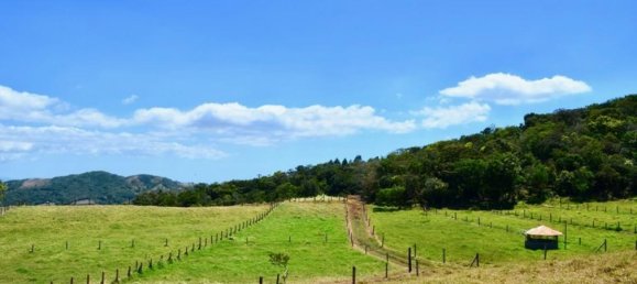 Terrain à San Ramon, Costa Rica No. 1731 3