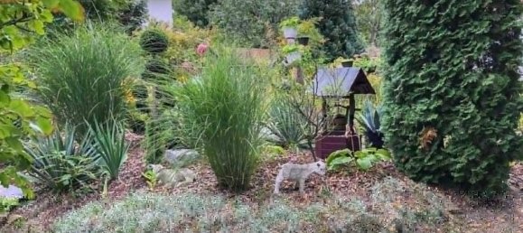 3 bedrooms House in Dobling, Austria No. 152509 12