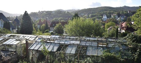 Земельный участок в Гарц, Германия № 128643 5