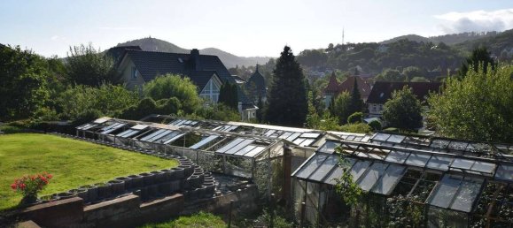 Земельный участок в Гарц, Германия № 128643 6