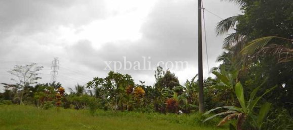 Terrain à Tabanan, Indonesia 4650m² No. 3814 4
