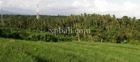 Terrain à Tabanan, Indonesia 4650m² No. 3814 2