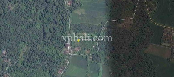 Terrain à Tabanan, Indonesia 4650m² No. 3814 7