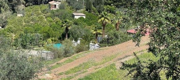 31000m² Land in Cartama, Spain No. 224712 9