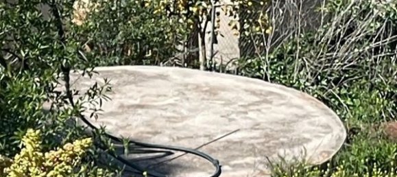 31000m² Land in Cartama, Spain No. 224712 8