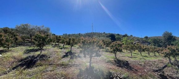31000m² Land in Cartama, Spain No. 224712 4