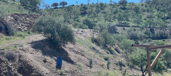 31000m² Land in Cartama, Spain No. 224712 5