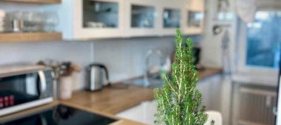 4 غرف نوم تاون هاوس في Nordfriesland, Germany رقم 218983 24