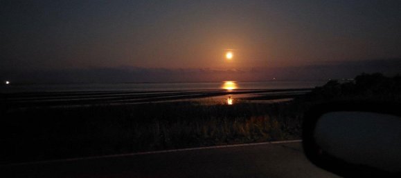 4 غرف نوم تاون هاوس في Nordfriesland, Germany رقم 218983 5