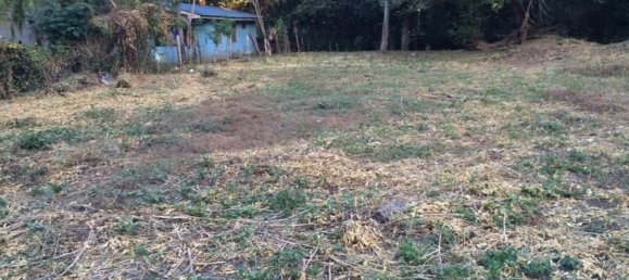 Grundstück in Puerto Carrillo, Costa Rica, Nr. 1468 6