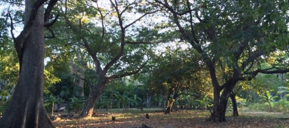 Grundstück in Puerto Carrillo, Costa Rica, Nr. 1468 2