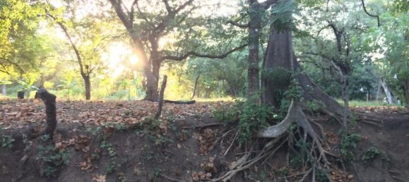 Grundstück in Puerto Carrillo, Costa Rica, Nr. 1468 5