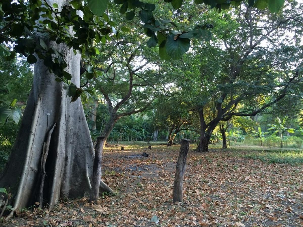 Grundstück in Puerto Carrillo, Costa Rica, Nr. 1468
